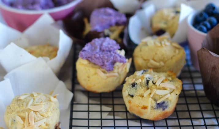 grain-free-gluten-free-blueberry-almond-muffins-feature